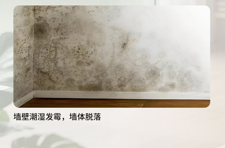 詳情_04.jpg